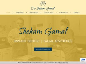 Dr Sheham Gamal